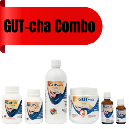 Bulk Offer Imsyser GUT-Cha Detox Combo