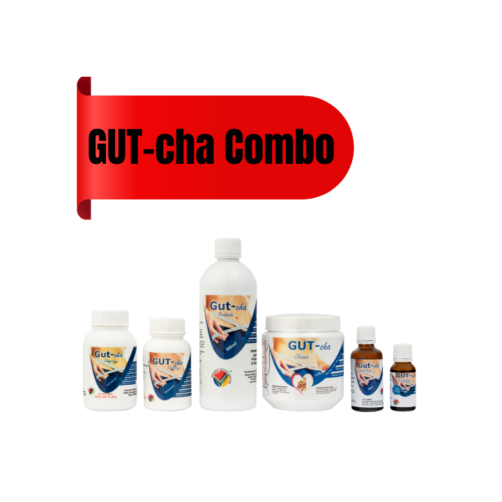 Bulk Offer Imsyser GUT-Cha Detox Combo