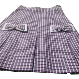 School Mini Skirt