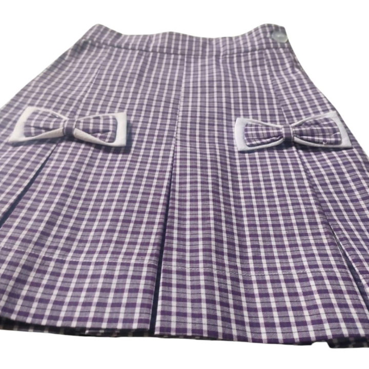 School Mini Skirt