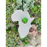 MMCD - Africa Coffee Table