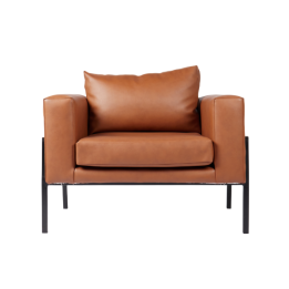 Box Frame Euro Leather Chair