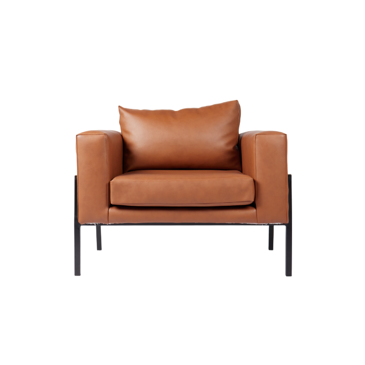 Box Frame Euro Leather Chair