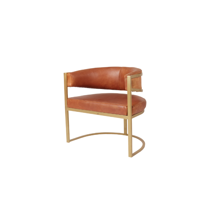 Angelo Leather Steel Frame Chair