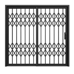 Expandable Retractable Trellis Gate