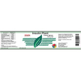 Insulin Plant