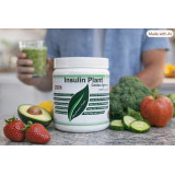 Insulin Plant