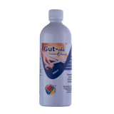 Bulk Offer Imsyser GUT-Cha Detox Combo