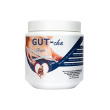 Bulk Offer Imsyser GUT-Cha Detox Combo