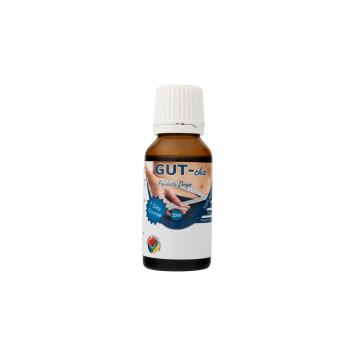 Bulk Offer Imsyser GUT-Cha Detox Combo