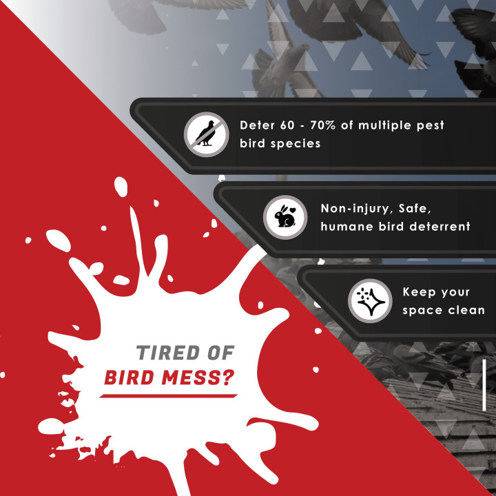 BadBirdy Eggspeller - Rooftop Bird Repeller - Reflective Bird Scarer