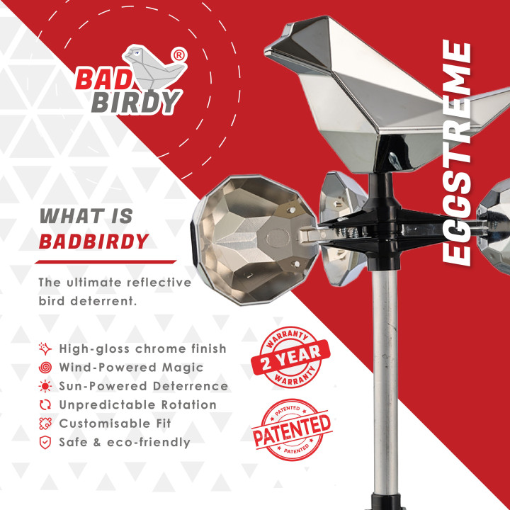 BadBirdy Eggstreme - Rooftop Bird Repeller - Reflective Bird Scarer