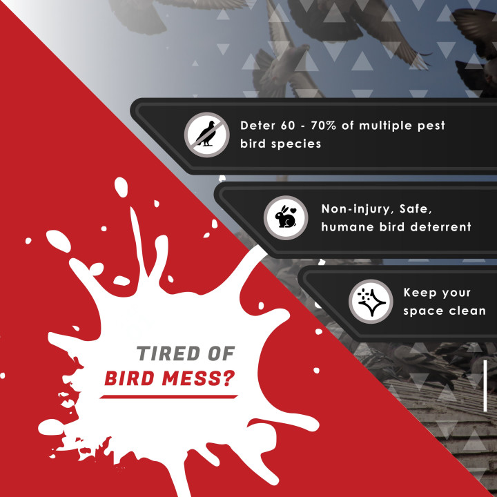 BadBirdy Eggstreme - Rooftop Bird Repeller - Reflective Bird Scarer