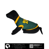 Dog T-shirt, South Africa Green & Gold | Proudly SA