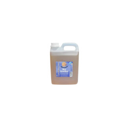 2lt BIO SANITISER