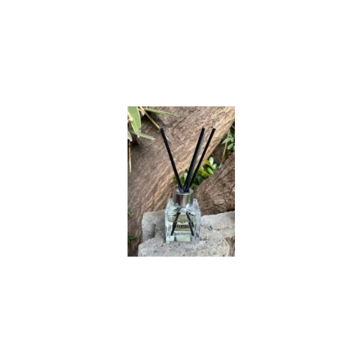 Blue Horizon Home Diffuser 50 ml | Proudly SA