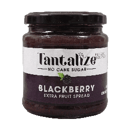 Delite Fruit Jam Blackberry 280 g | Proudly SA