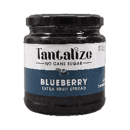 Delite Fruit Jam Blueberry 280 g | Proudly SA