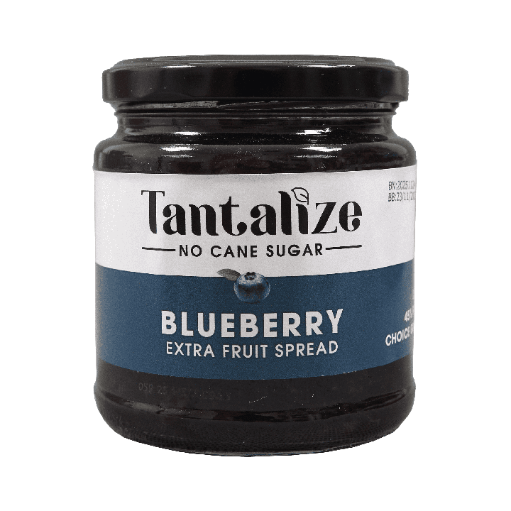Delite Fruit Jam Blueberry 280 g | Proudly SA