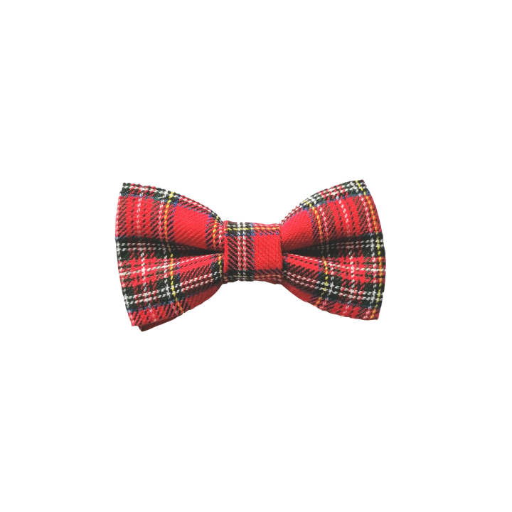Polkadot Coco - Red Tartan Bow Tie