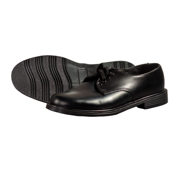 Lashushu School Shoe