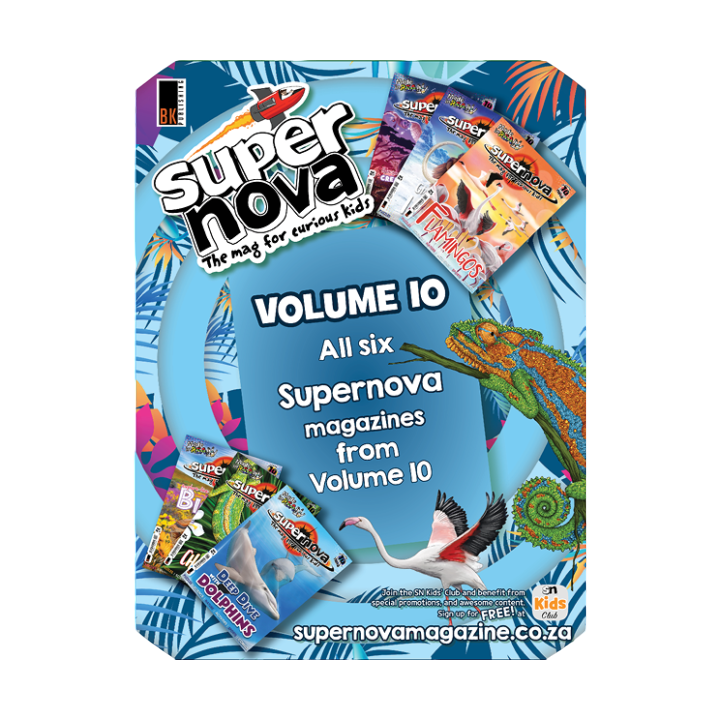 Supernova Volume 10 Set
