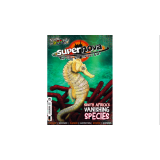 Supernova Volume 11 Set