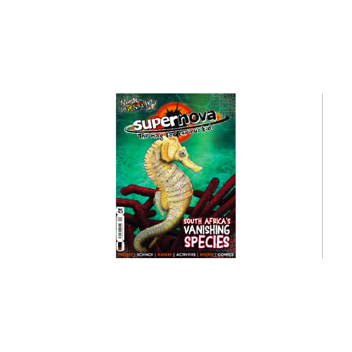 Supernova Volume 11 Set