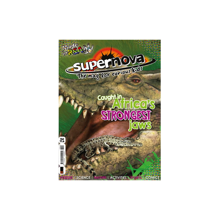 Supernova Volume 11 Set