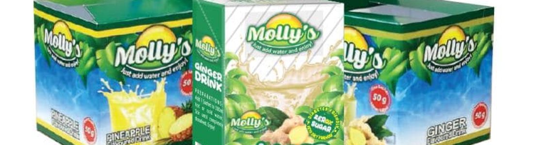 Molly's Food Enterprises (Pty) Ltd
