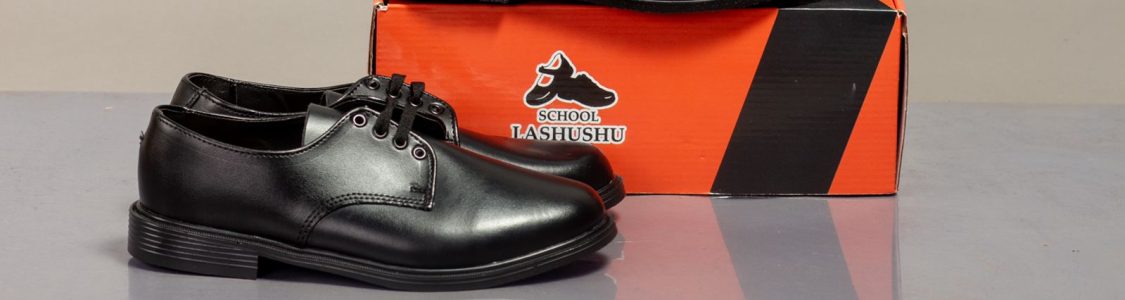 School Lashushu