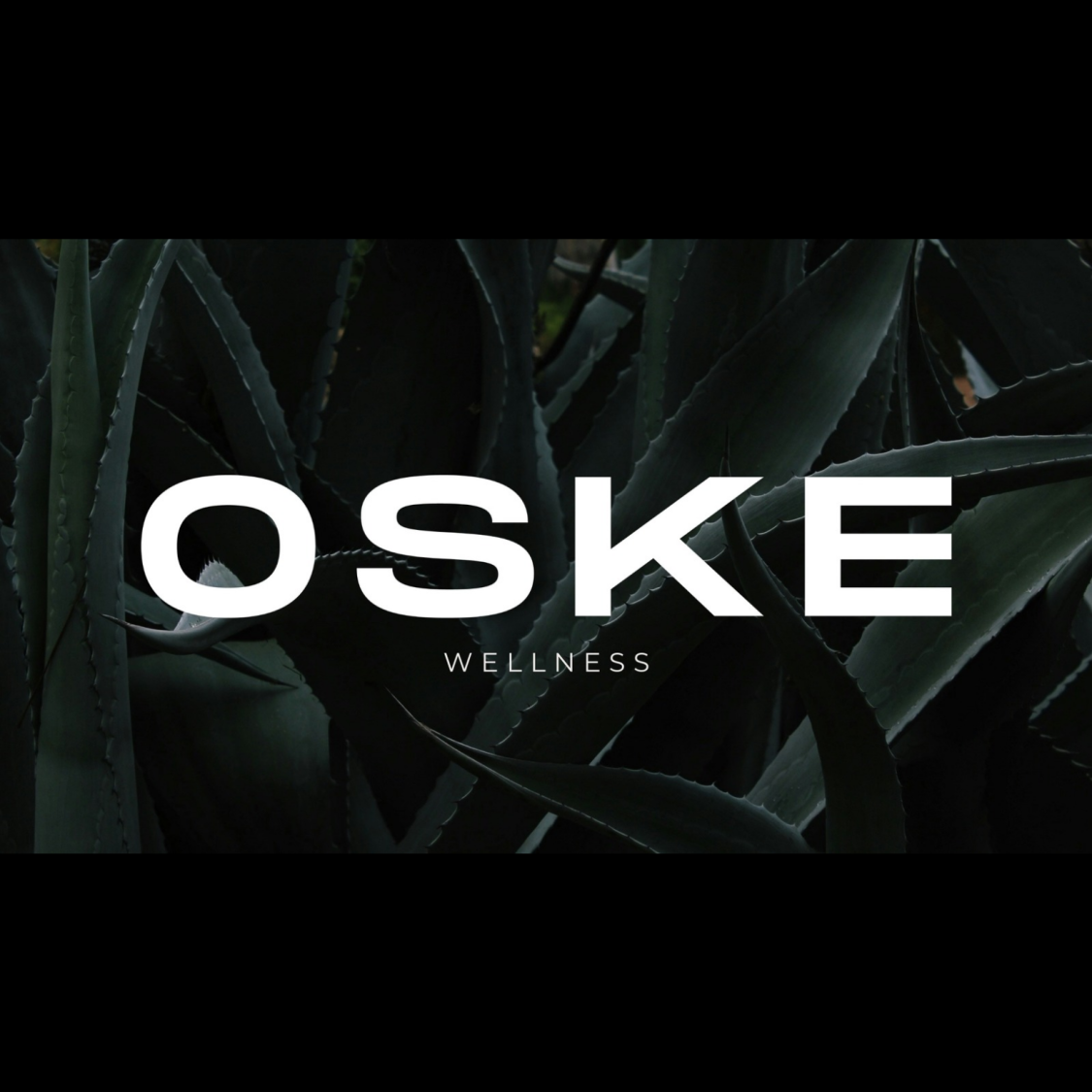 OSKE Wellness