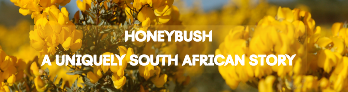The Honeybush Company