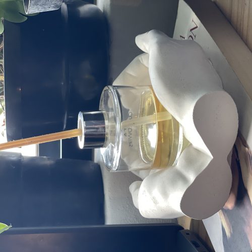 Giving Hands - Image 3