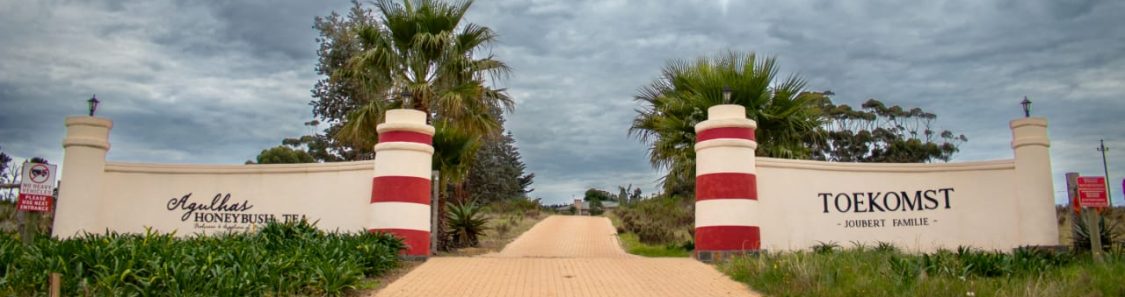 Agulhas Honeybush Tea
